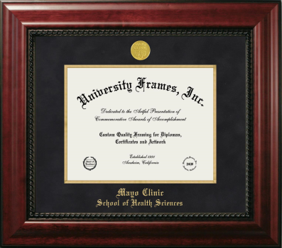Mayo Clinic School of Health Sciences Diploma Frame in Executive with Gold Fillet with Black Suede Mat for document: 8 1/2"h x 11"w  