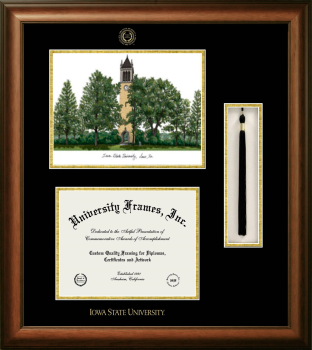 Iowa State University Double Opening with Campus Image & Tassel Box (Stacked) Frame in Satin Walnut with Black & Gold Mats for  8 1/2"h x 11"w  