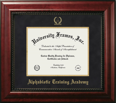 Alphabiotic Training Academy Diploma Frame in Executive with Gold Fillet with Black Suede Mat for document: 8 1/2"h x 11"w  